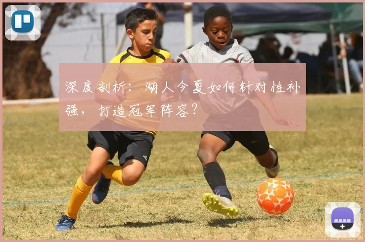 深度剖析：湖人今夏如何针对性补强，打造冠军阵容？